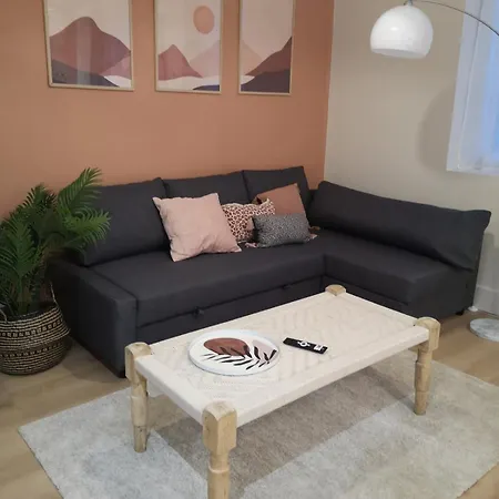 Daire Family Friendly T3 Close To Stations Lille